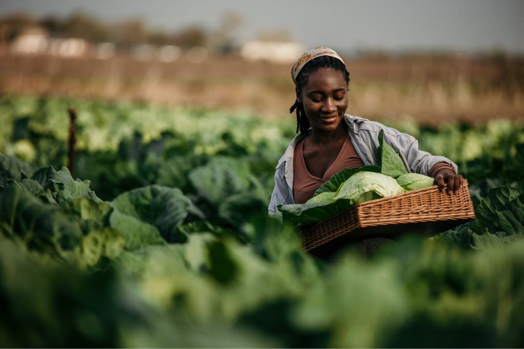 Food and Nutrition SSS 3